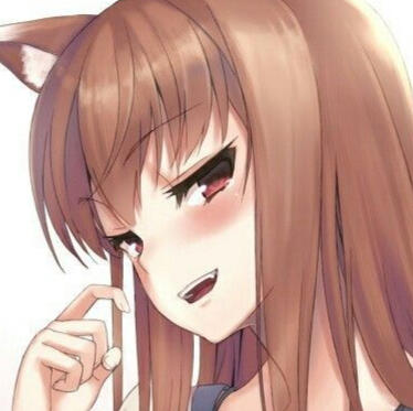 Holo